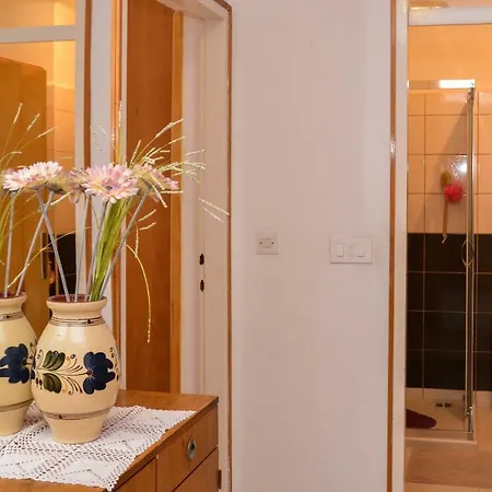 Apartman Moni *